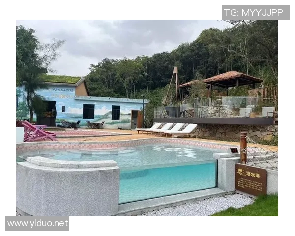 畅享夏日清凉游泳池全方位指南，让你轻松玩转水中乐趣