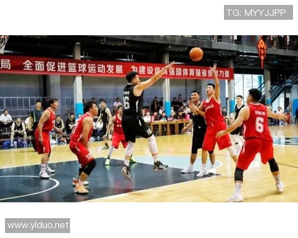 黑龙江篮球队是否参与CBA联赛的情况说明